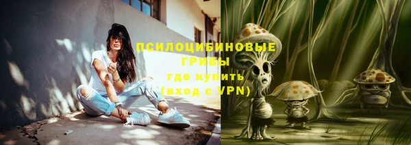 первитин Мегион