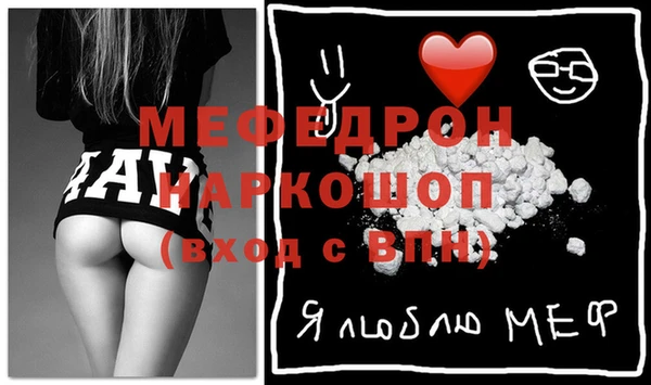 индика Каменка