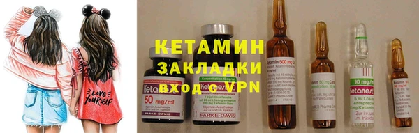 индика Каменка