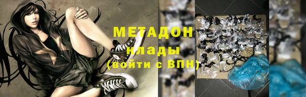 индика Каменка