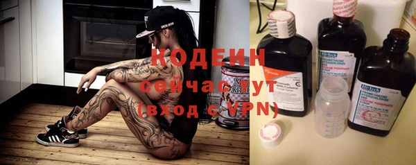 индика Каменка