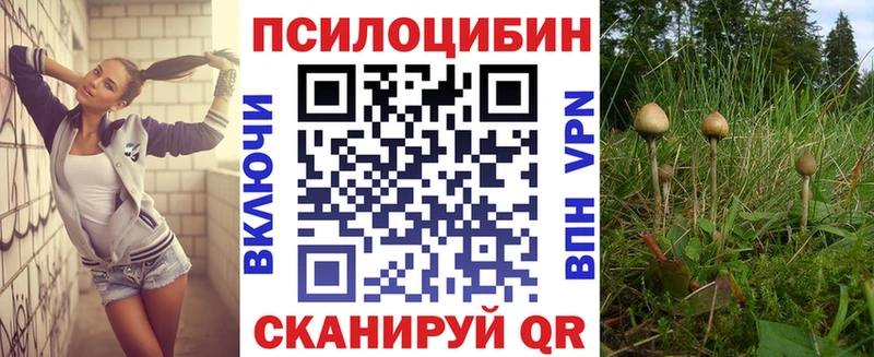 Псилоцибиновые грибы GOLDEN TEACHER  KRAKEN маркетплейс  Сурск  дарнет шоп 